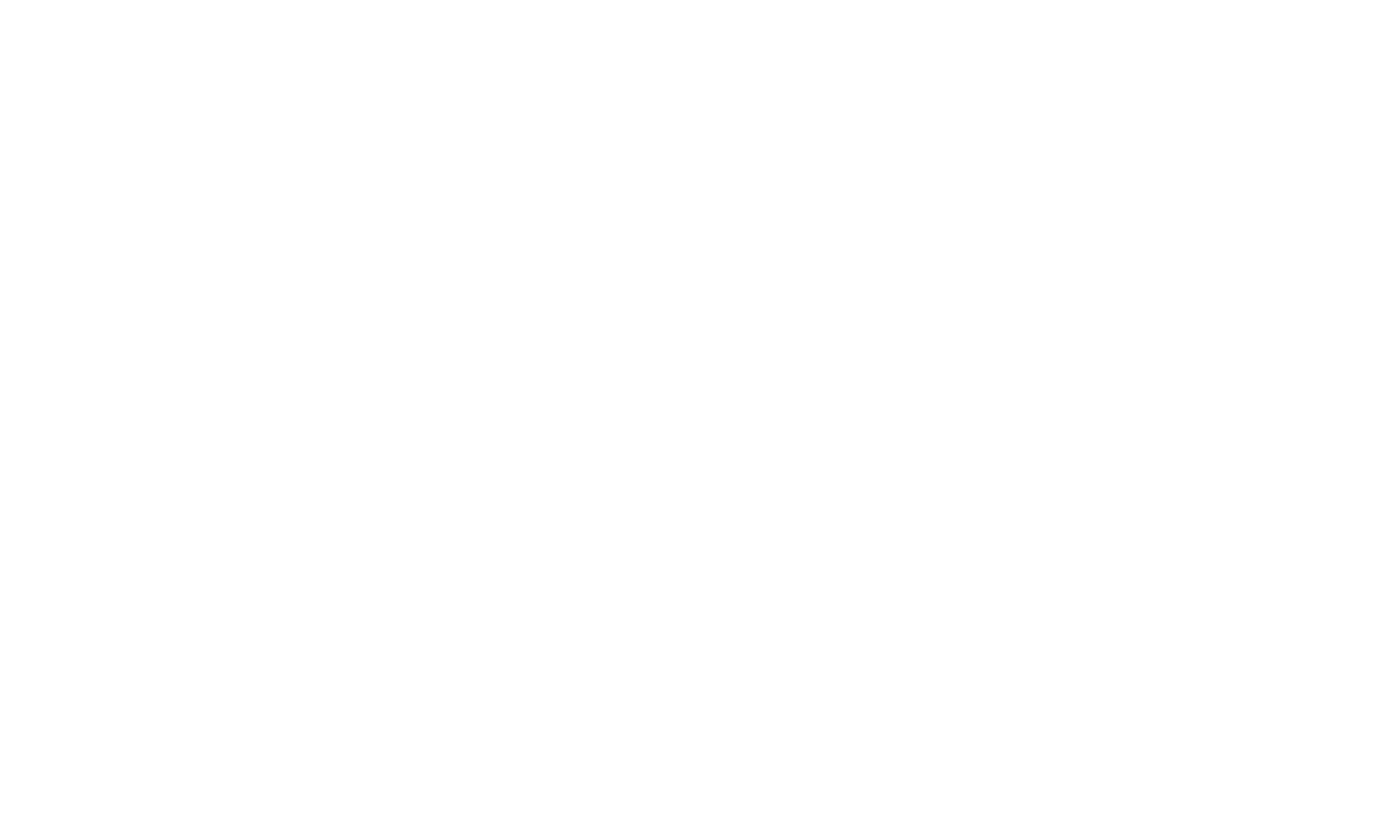 white_logo_transparent_background (1)